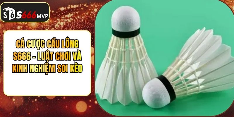 Cá Cược Cầu Lông S666 - Luật Chơi Và Kinh Nghiệm Soi Kèo