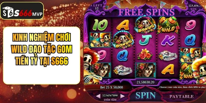 Kinh Nghiệm Chơi Wild Đạo Tặc Gom Tiền Tỷ Tại S666