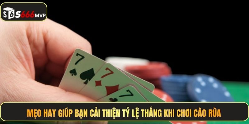 Mẹo hay giúp bạn cải thiện tỷ lệ thắng khi chơi cào rùa